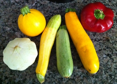 Different varieties of zucchini and summer squash Different varieties of zucchini and summer squash