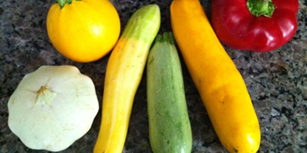 Different Varieties of Zucchini and Summer Squash