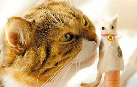 Crafting with Cat Hair Review