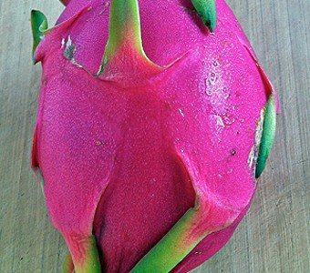 Dragonfruit