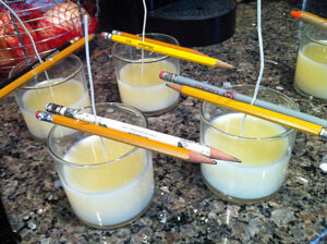 Making Candles