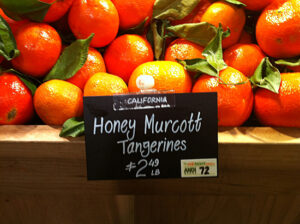 Honey Murcott Tangerines Honey Murcott Tangerines