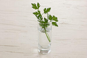 Parsley Parsley