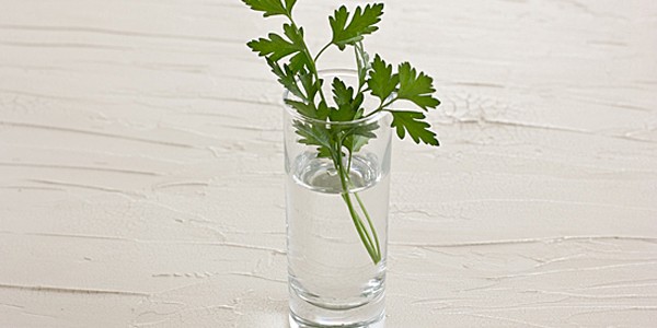 parsley