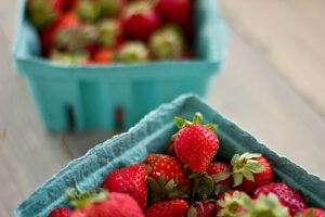 Sweet Charlie Strawberries