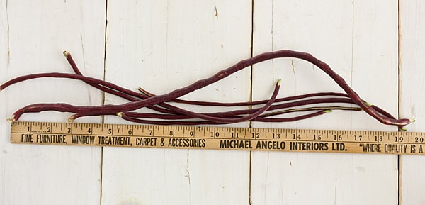 red_noodle_long_beans_feature