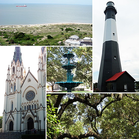 Savannah Collage Savannah Collage