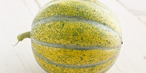 Petit Gris de Rennes Melon [August 2012]
