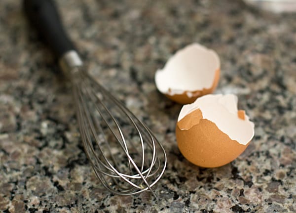Eggshells & Whisk Eggshells & Whisk