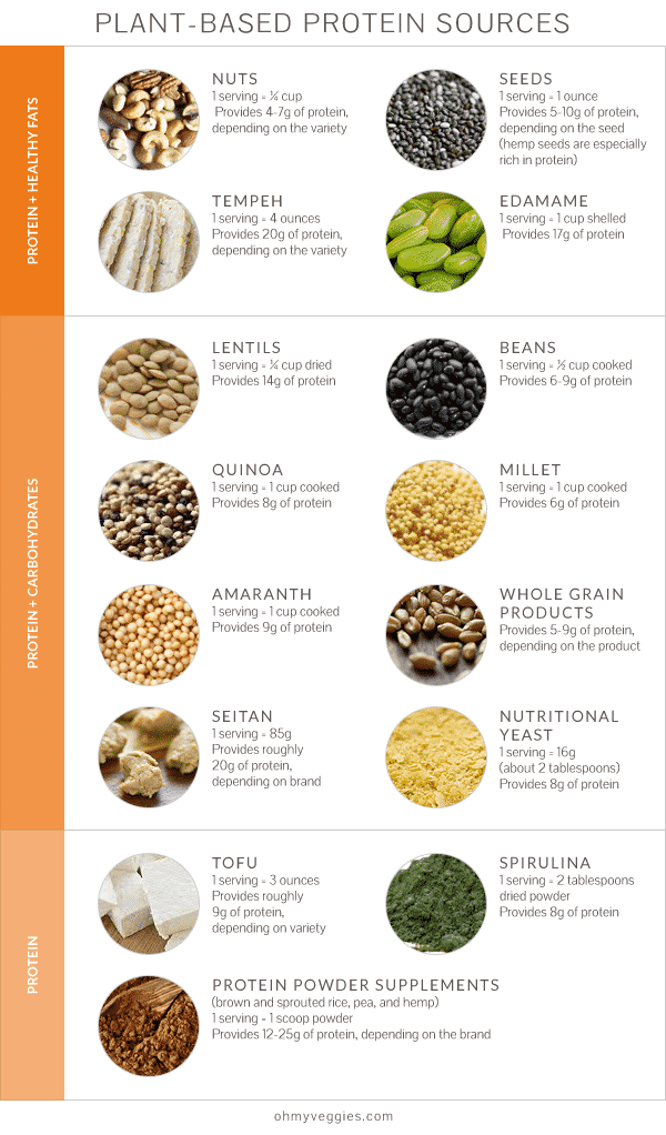 Plant base Protein sources