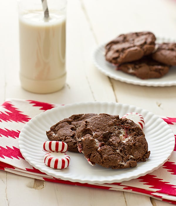 Chewy Chocolate Candy Cane Cookies