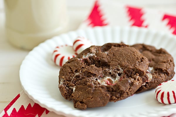 chocolate candy cane cookies