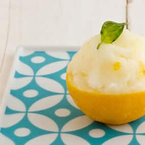 Meyer Lemon and Basil Sorbet (Single)