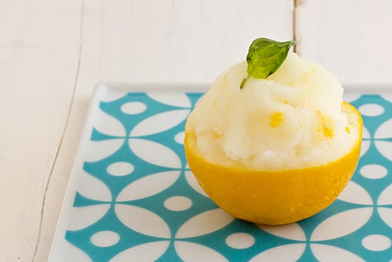 Meyer Lemon and Basil Sorbet (Single)