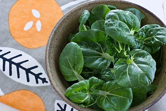 Dwarf Bok Choy Harvest