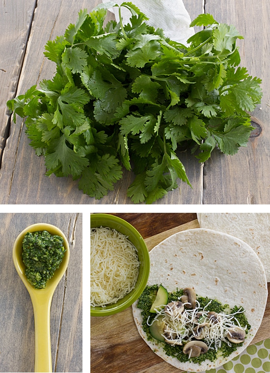 Mushroom Fideuà - Cilantro and Citronella