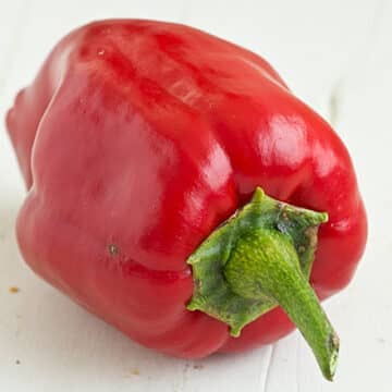 Red Poblano Pepper [August 2012]