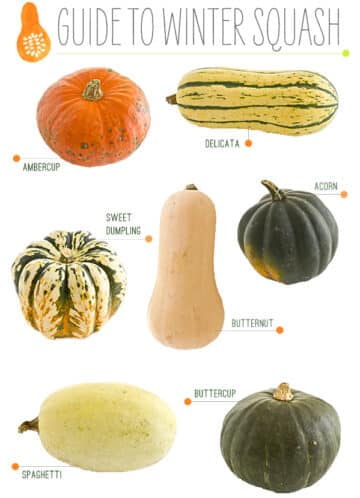 A Guide to Winter Squash