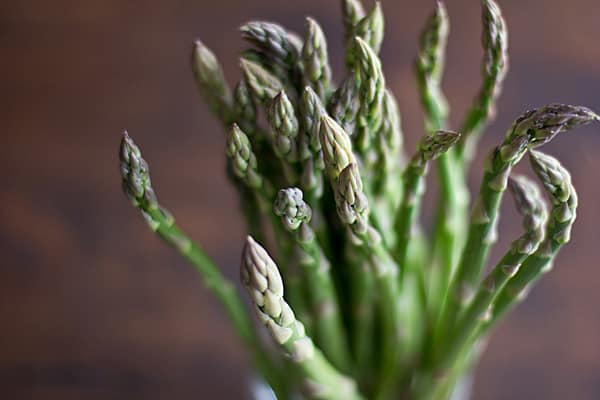 Asparagus for Panini