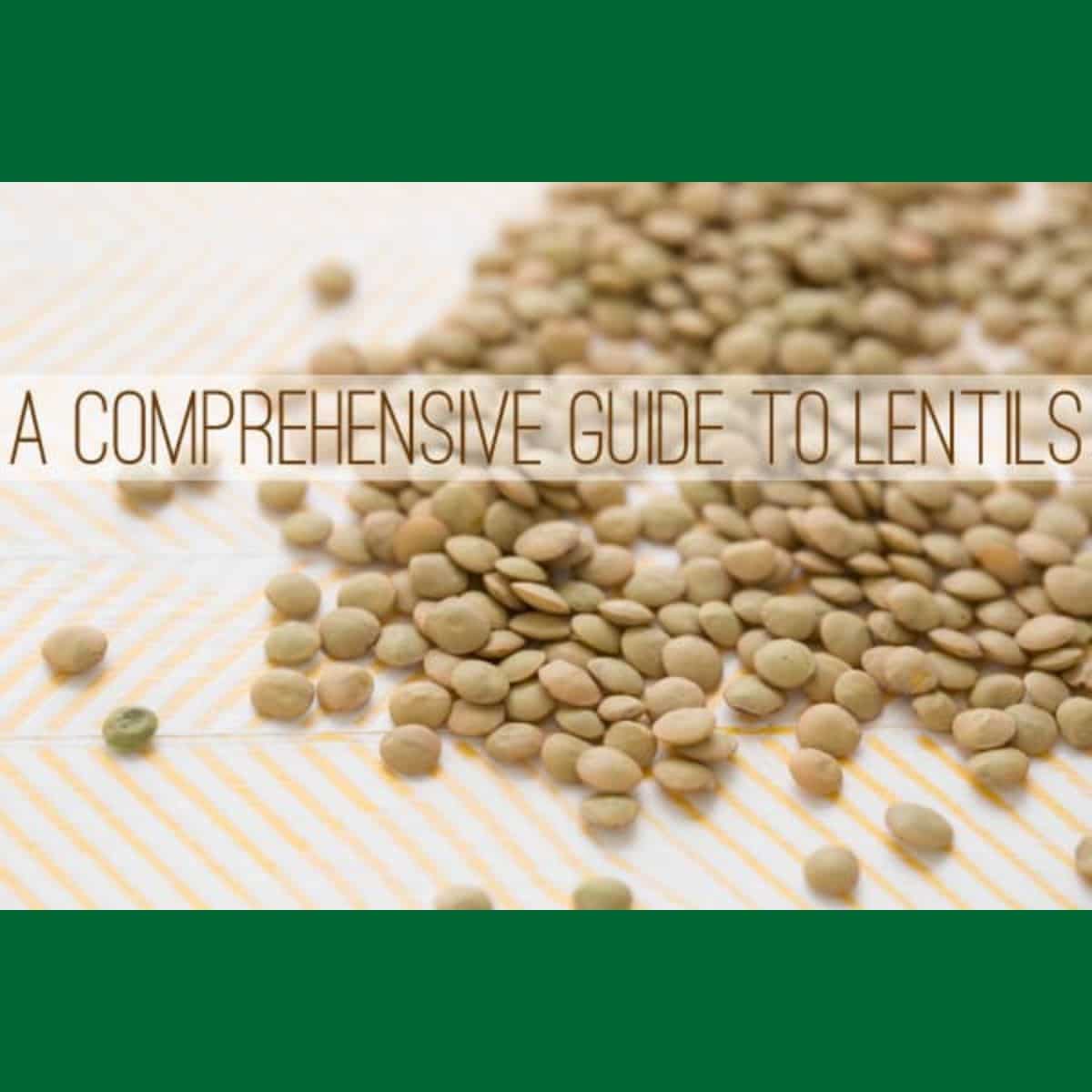 a comprehensive guide to lentils