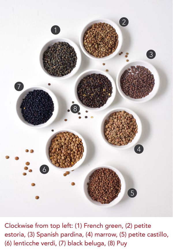 Varieties of Lentils from The Essential Good Food Guide