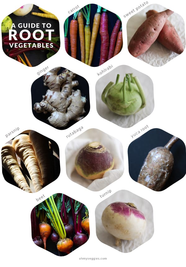 infographic showing all the root vegetables