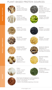 Plant Protein: A Nutrition Q&A About Plant Protein - OhMyVeggies!