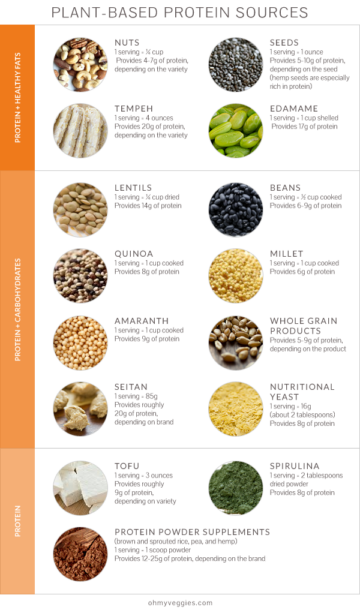 Plant Protein: A Nutrition Q&A About Plant Protein - OhMyVeggies!