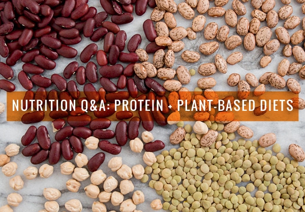 Nutrition Q&A: Protein + Plant-Based Diets