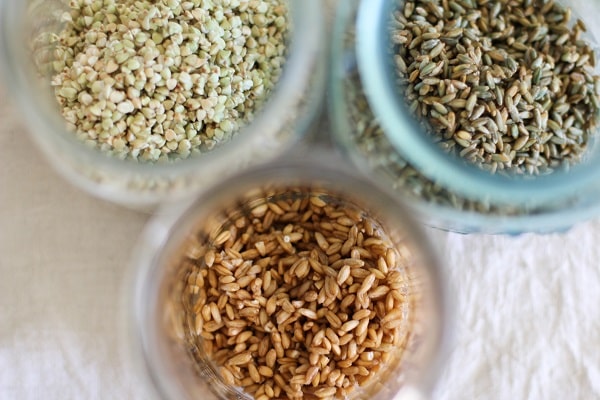 How to Sprout Grains