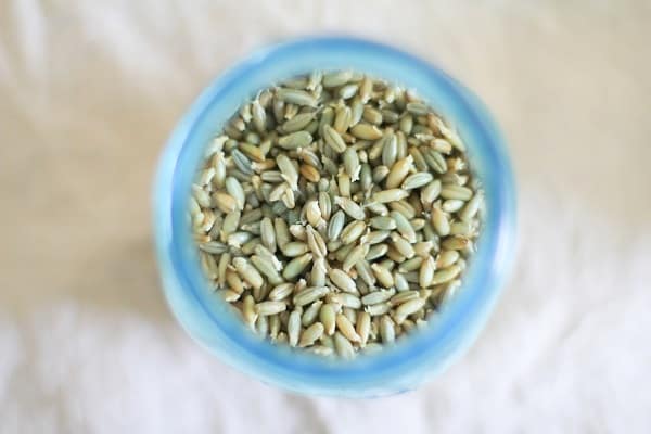 How to Sprout Grains