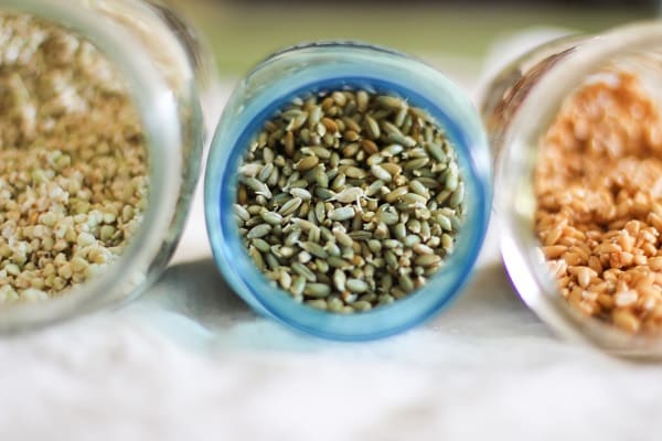 How to Sprout Grains