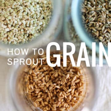 How to Sprout Grains