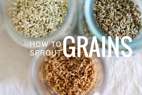 How to Sprout Grains