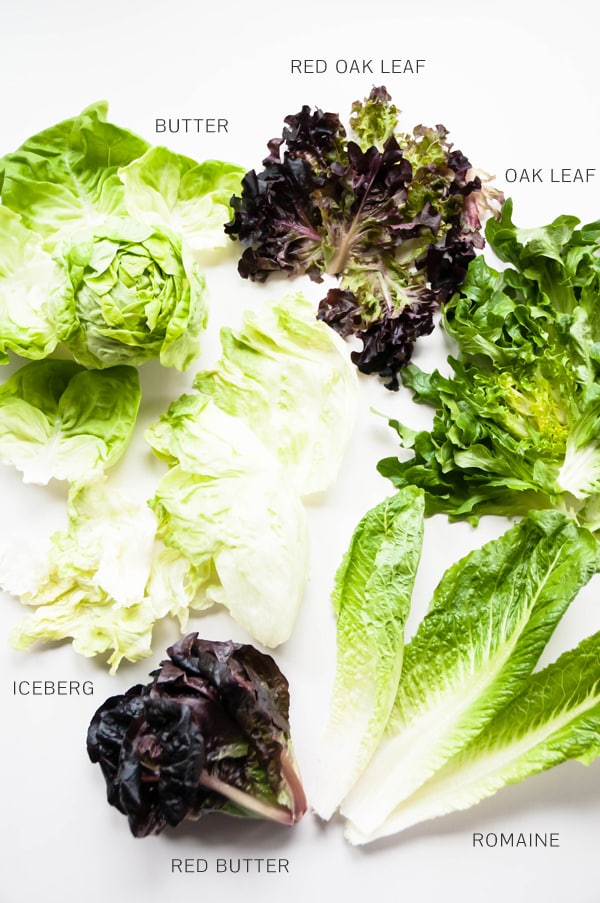 The Handy Guide to Salad Greens