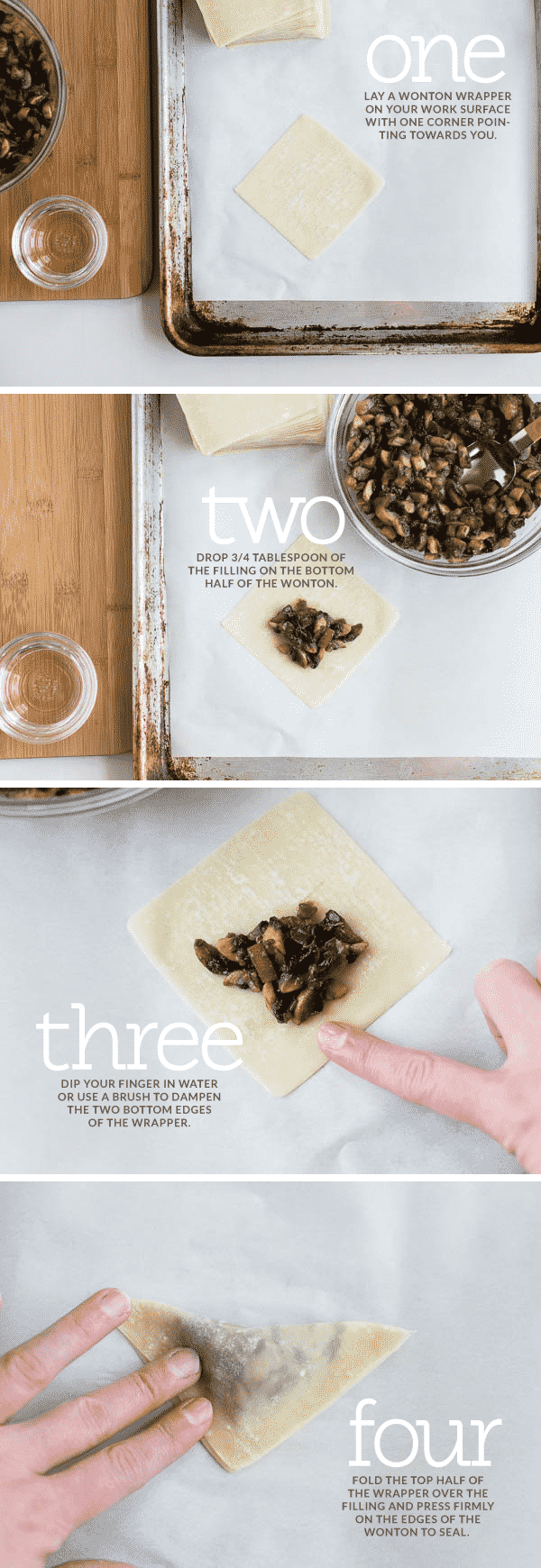 How to Fold Wontons (the easy way!)