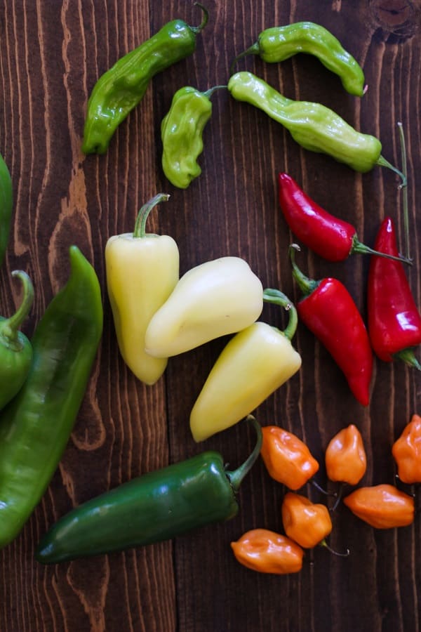 An Oh My Veggies Guide to Understanding and Selecting Hot Sauce