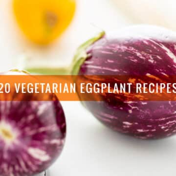 Vegetarian Eggplant Recipes