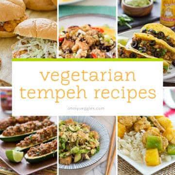 Vegetarian Tempeh Recipes
