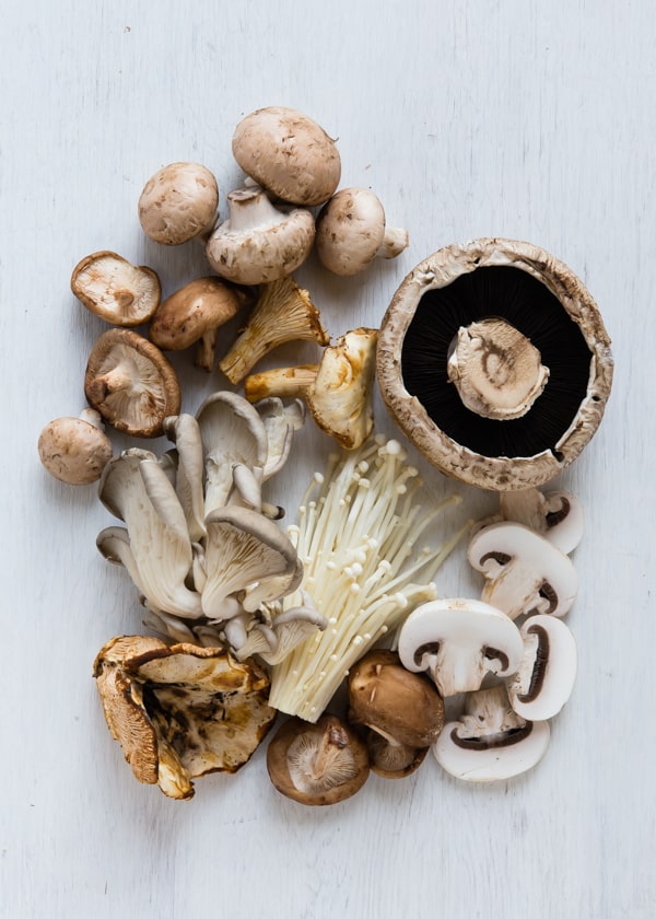 A Guide to Mushrooms