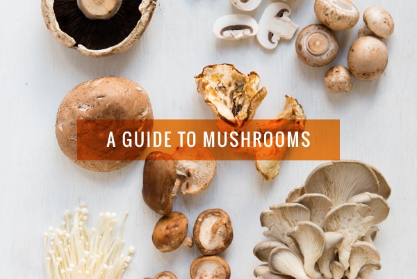 A Guide to Mushrooms