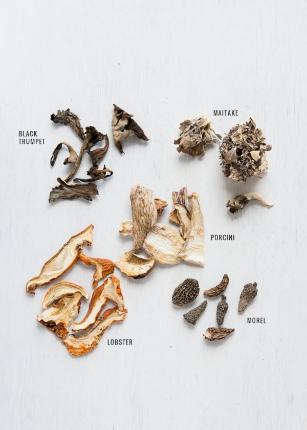 Common Types of Dried Mushrooms