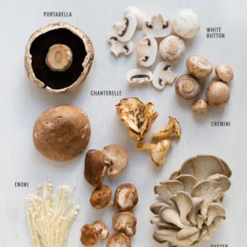 Common Types of Fresh Mushrooms