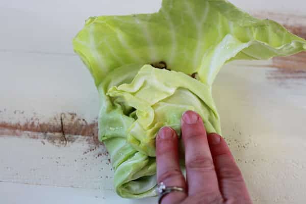 Slow Cooker Mushrooom-Lentil Stuffed Cabbage Rolls