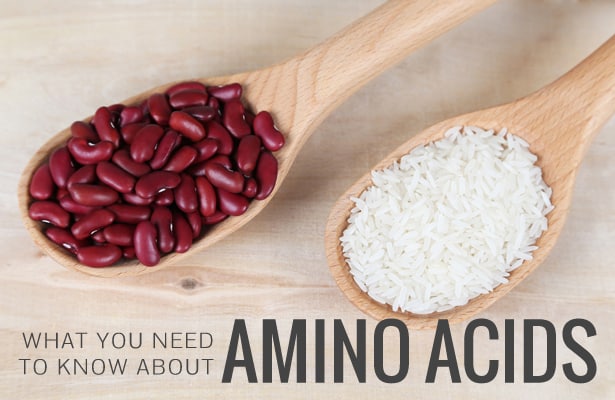 What You Need To Know About Amino Acids
