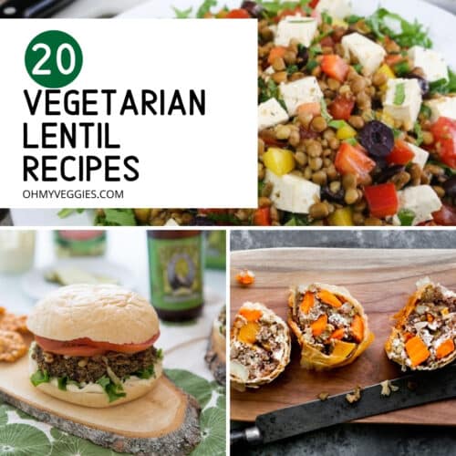 20 Delicious Vegetarian Lentil Recipes | Oh My Veggies