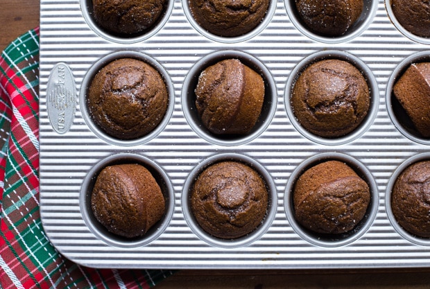 pumpkin gingerbread muffins