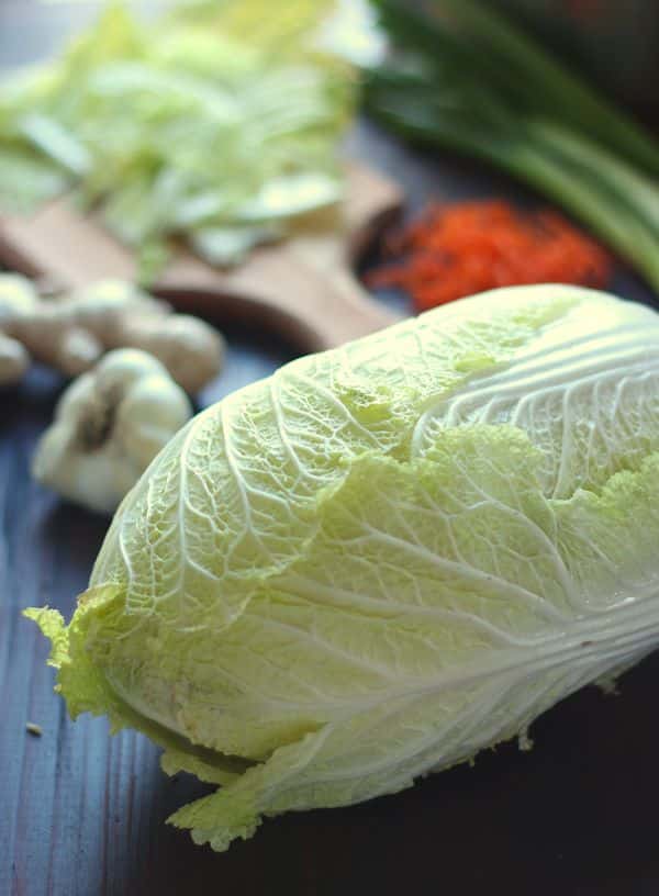 napa cabbage and other kimchi ingredients