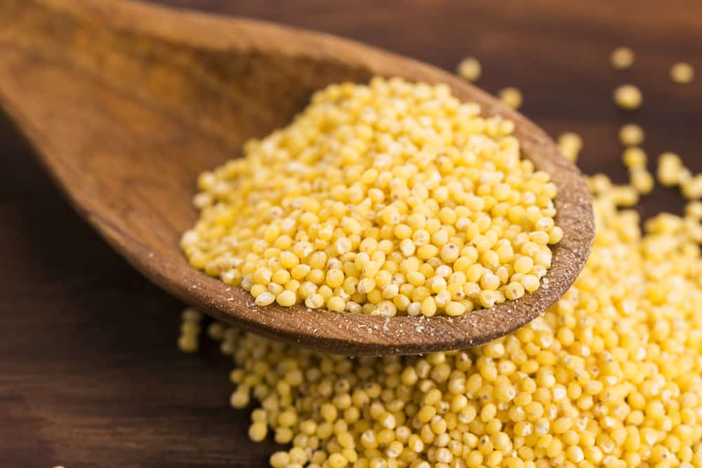 ingredient-spotlight-millet