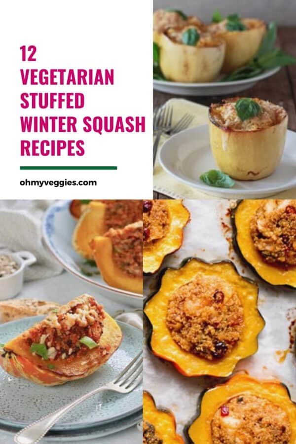 vegetarian stuffed squash recipes